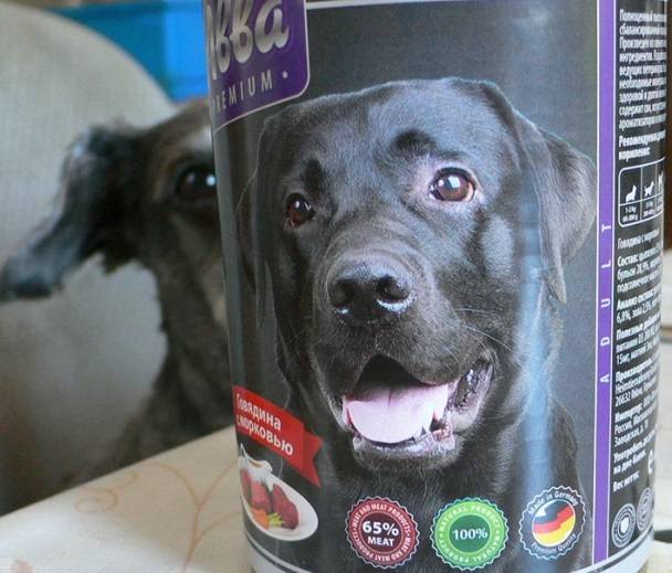 Обзор консерв и сухих кормов от фирмы авва для собак разных пород