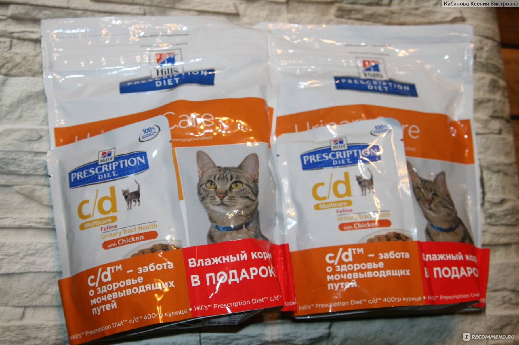 Гипоаллергенный корм для кошек: отзывы и обзор 10 популярных сухих кормов, а также все о пищевой аллергии у кошек