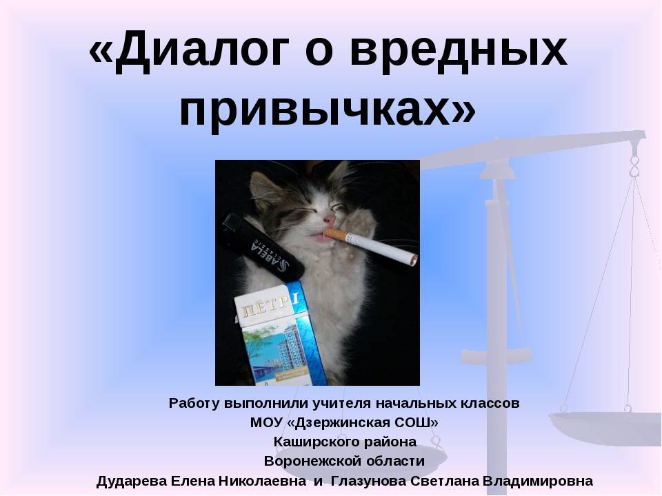 Топ-5 «кошачьих» болезней, опасных для человека