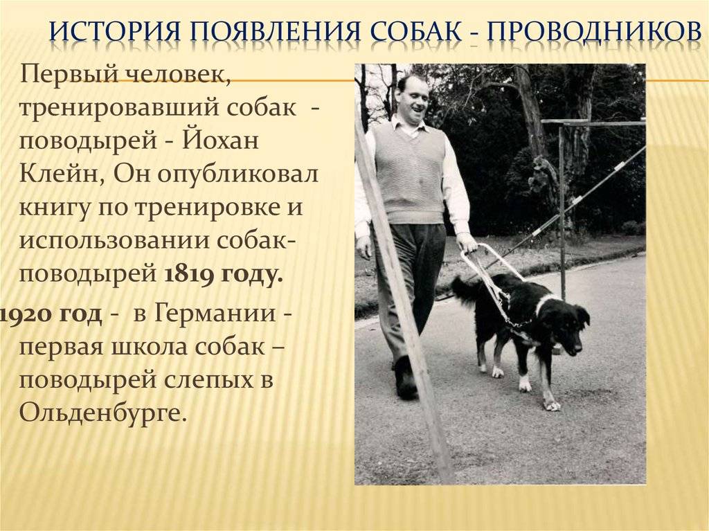 Самая первая собака в мире