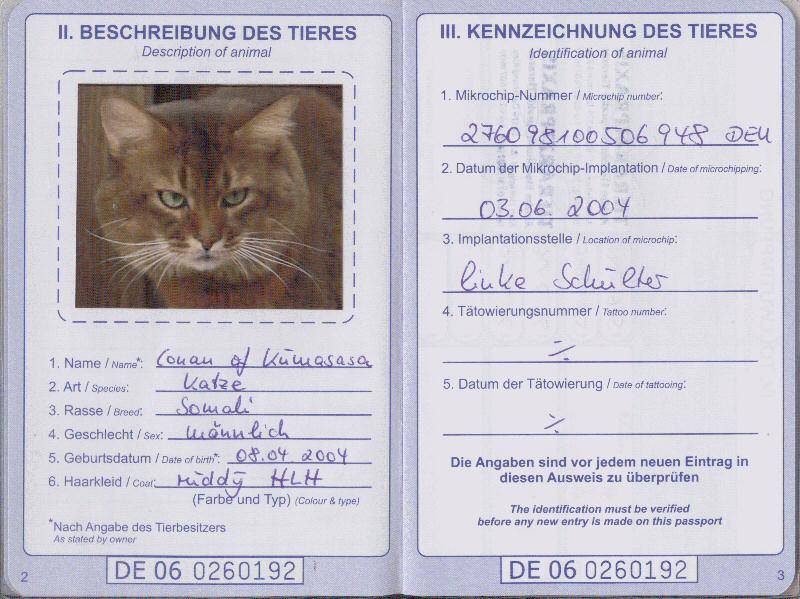 Ветеринарный паспорт для кошки: как получить и заполнять?
