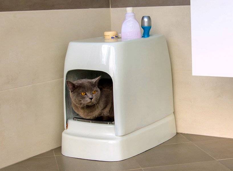 Наполнитель для кошачьего туалета, который можно смывать в унитаз: как выбрать растворимый наполнитель для кошек и в чем его особенности?