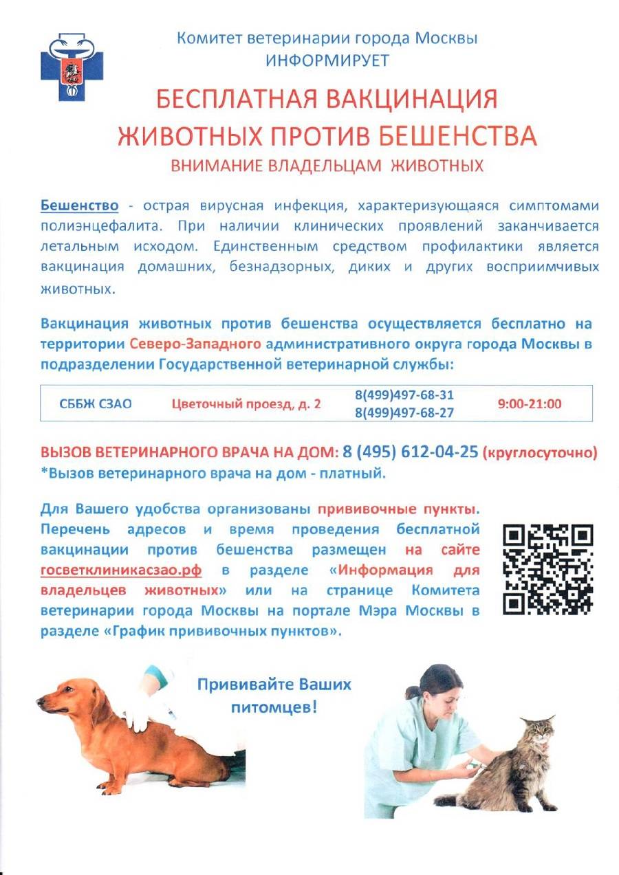 Анализ крови на антитела к бешенству, справка, как получить сертификат?