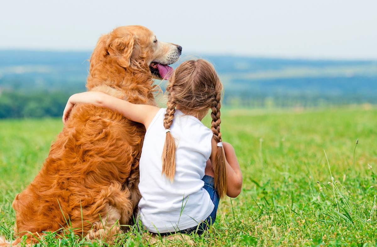 Маленькая порода собак для детей: какую выбрать, плюсы и минусы