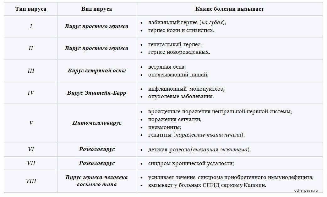 Почему кошки и коты не чувствуют вкус сладкого?