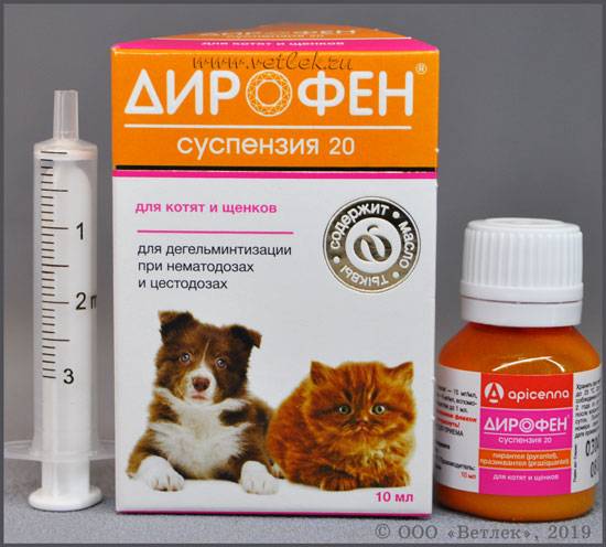 Дирофен плюс (суспензия, таблетки, паста): инструкция по применению для взрослых кошек и котят, отзывы