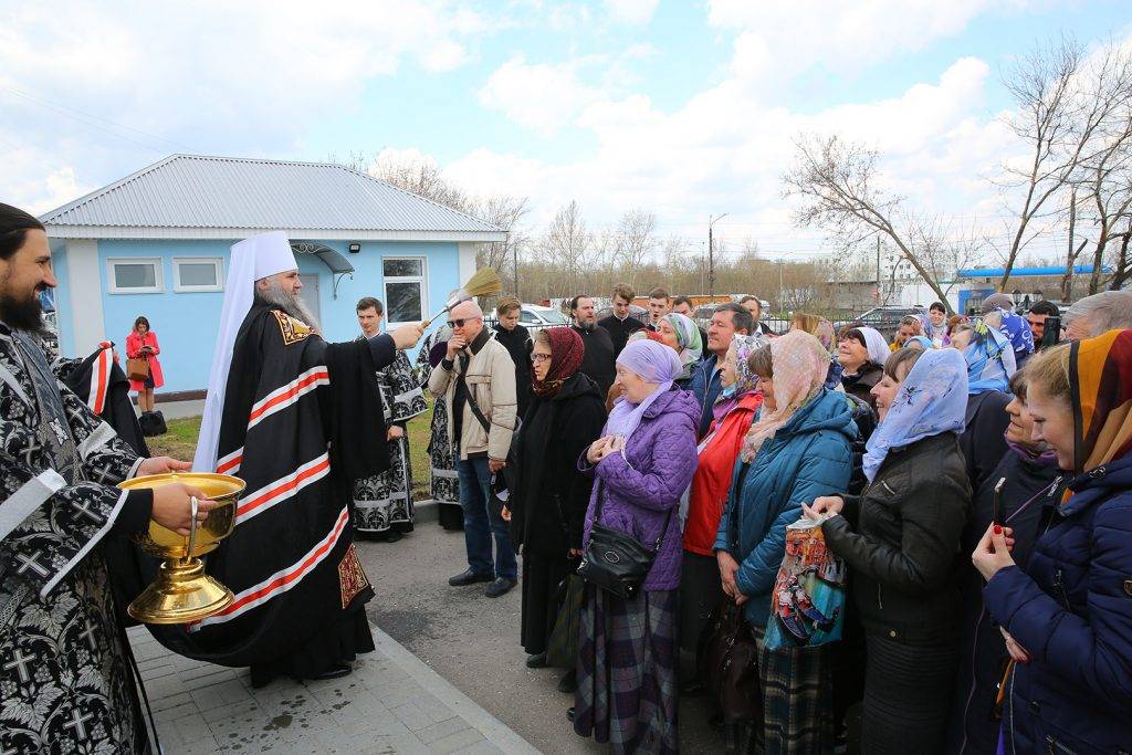 Расписание выставок кошек галереи мир кошек