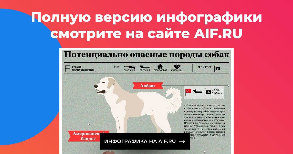 Самые опасные породы собак в мире: официальный список в россии, описание