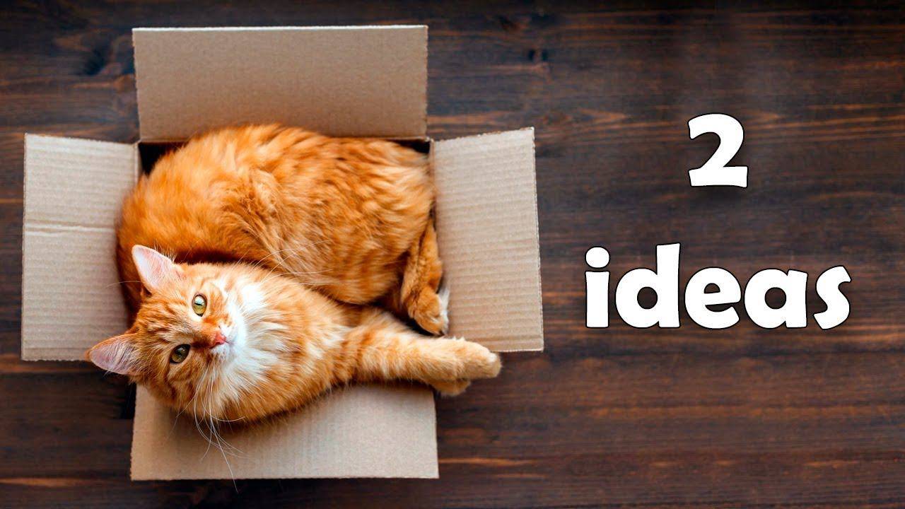 Делаем несложный домик для кошки своими руками, 3 мастер-класса (из коробки в том числе) с пошаговыми фотографиями