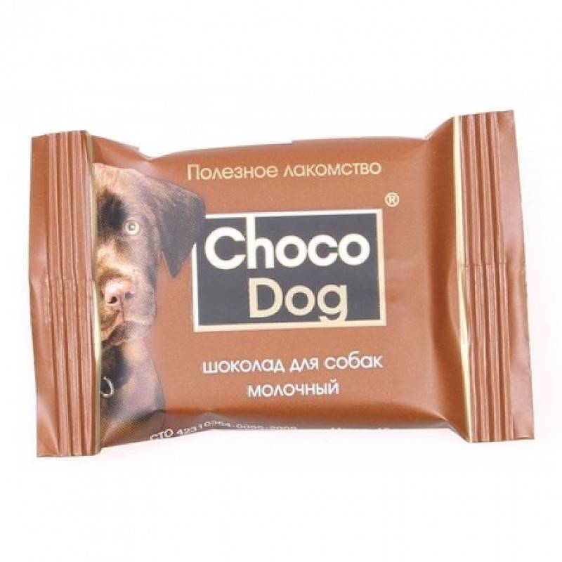 Ваша собака съела шоколад – что делать в таком случае? это важно!