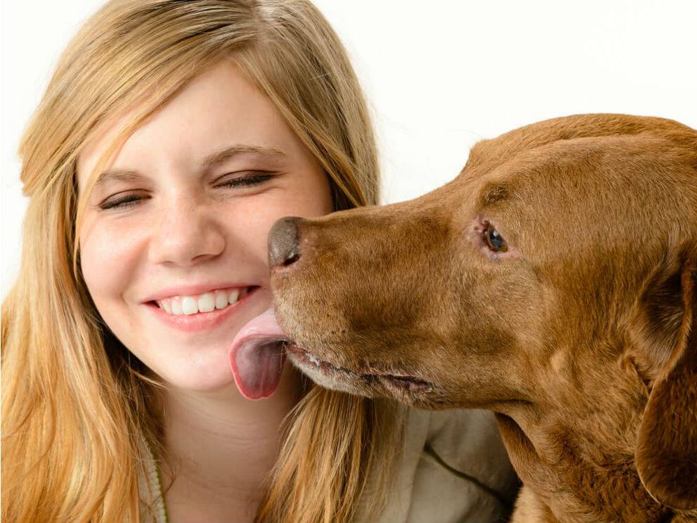 Как улыбаются собаки? особенности мимики и эмоций животных - truehunter.ru