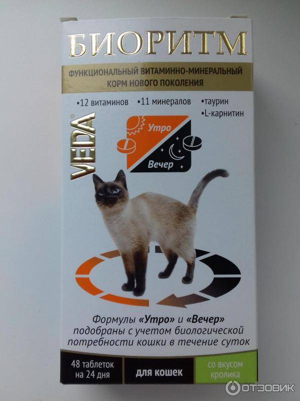 Витамины для котят – какие лучше для здоровья питомца: обзор популярных марок, состав