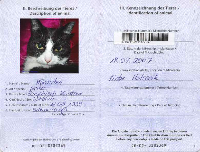 Образец заполнения паспорта кошки. как сделать и заполнить паспорт кошке, взрослой и беспородной, из личного опыта