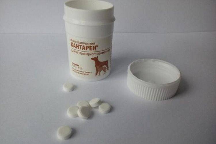 Гомеопатический препарат для кошек и собак хелвет кантарен 10 мл