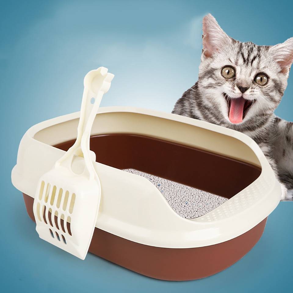 Закрытый туалет для кошек: плюсы и минусы, разновидности, правила использования, советы по приучению
