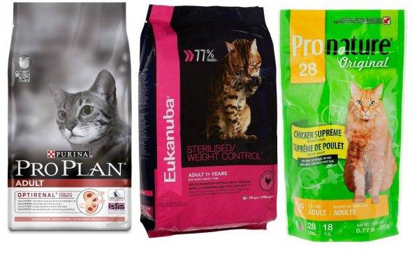 Корм для кошек «пронатюр холистик»: состав и особенности продукта