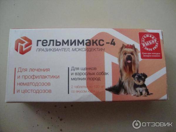 Гельмимакс для собак – хорошее средство от паразитов