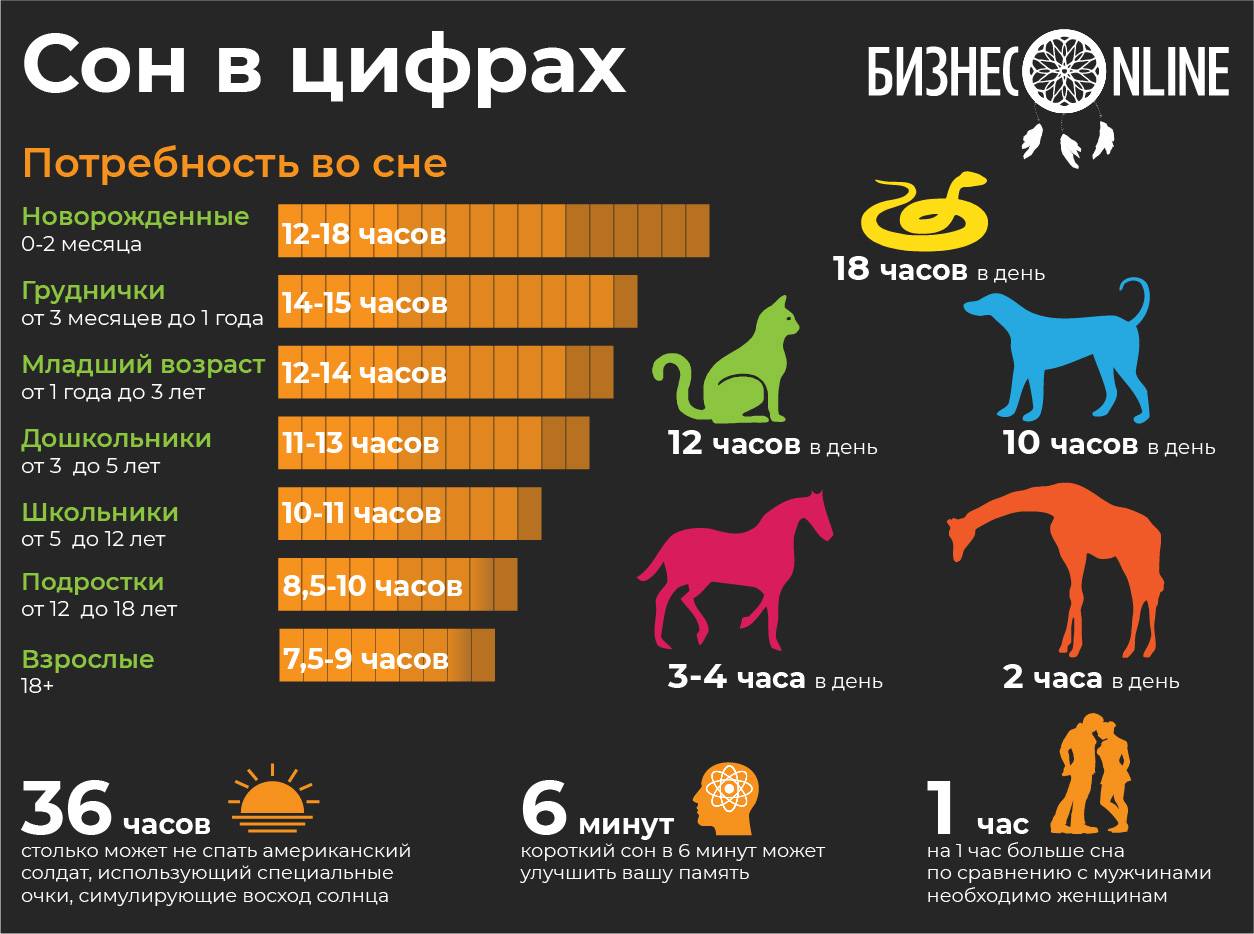 Сон у собаки: сколько спят собаки в сутки, сколько должен спать щенок в 2 месяца, длительность и фазы собачьего сна