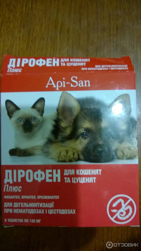 Дирофен для кошек: состав препарата, применение, форма выпуска
