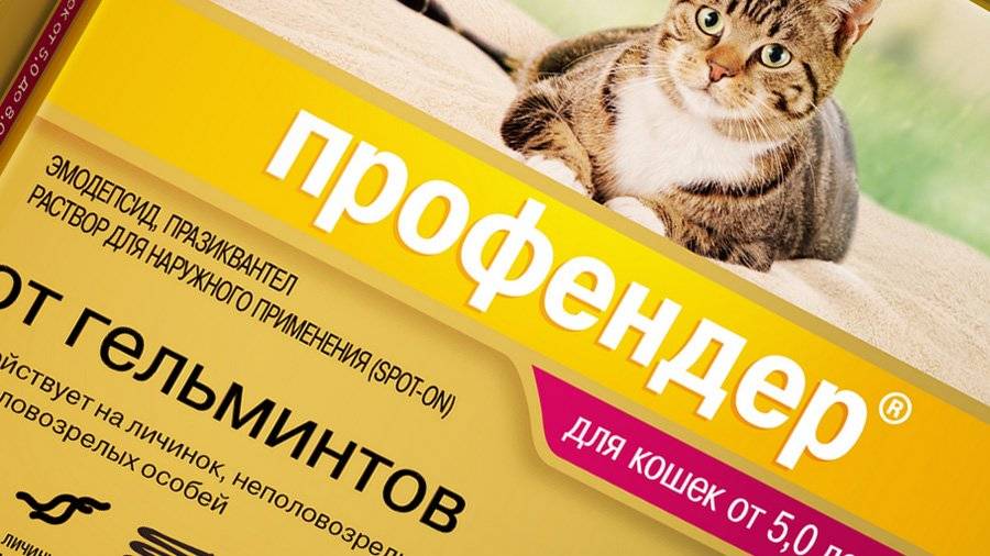 Инструкция по применению капель Профендер