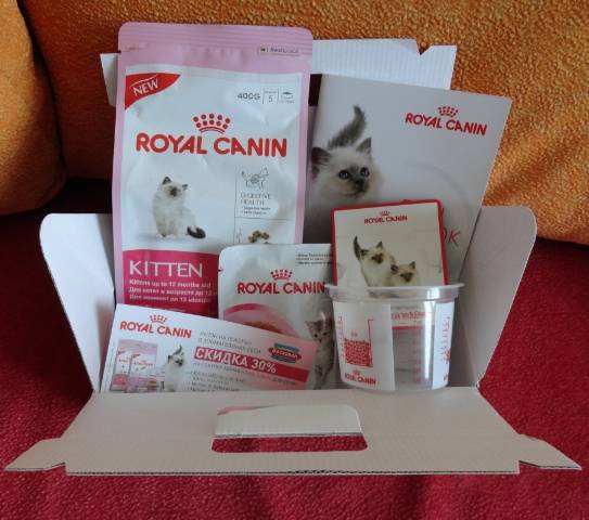 Подробный обзор всей линейки кормов от royal canin для кошки и котенка