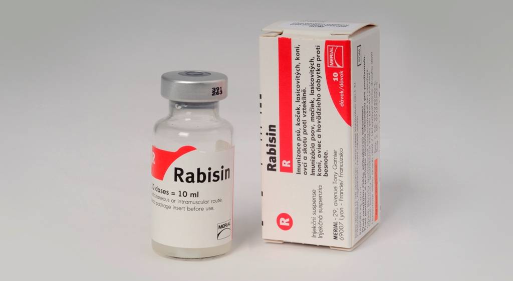 Вакцина рабизин: инструкция по применению, цена и аналоги