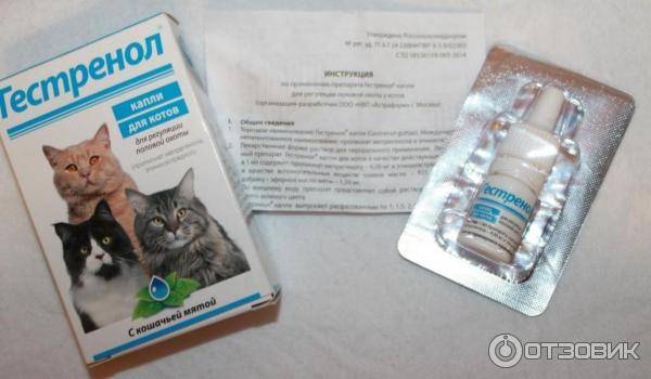 Как успокоить кошку во время течки: капли, таблетки, препараты