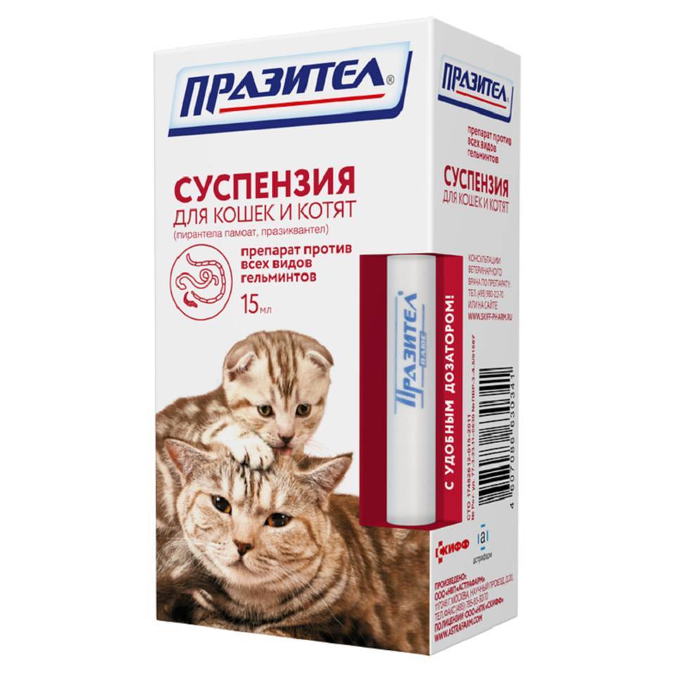 Празител таблетки для кошек - инструкция по применению