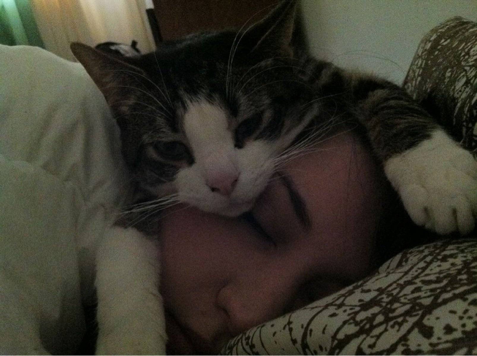 Ученные рассказали почему спать в одной кровати вместе с котом опасно.