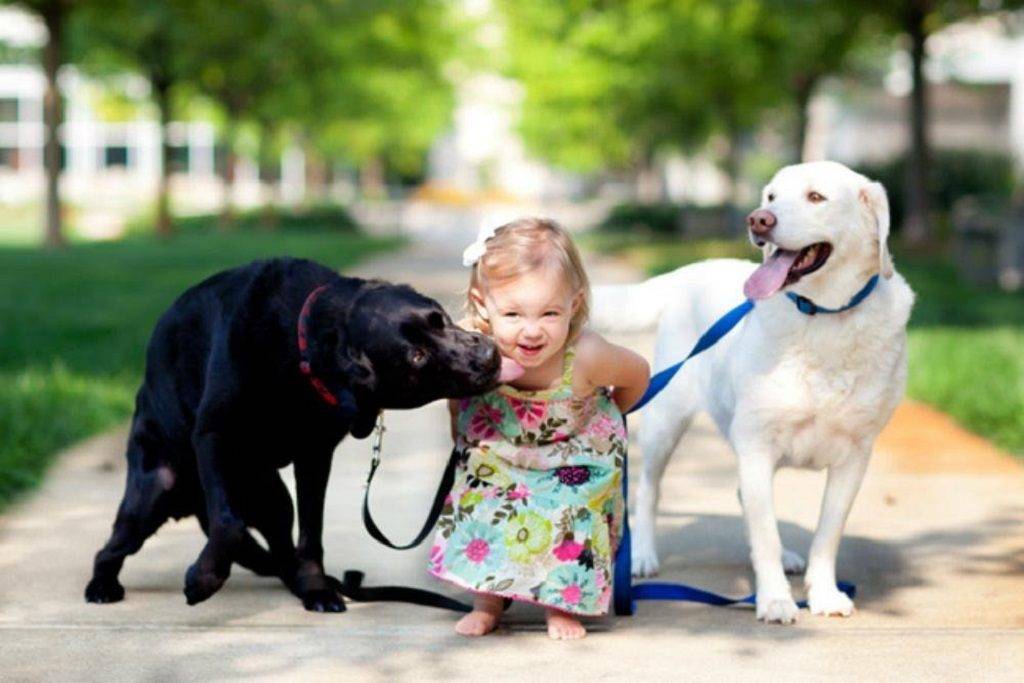 10 лучших пород собак для семей с детьми