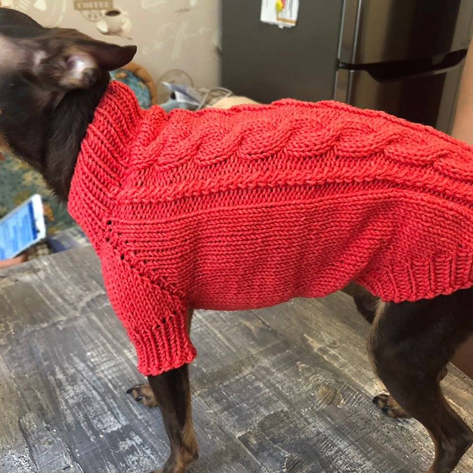 Мастер-класс по вязанию свитера для маленькой собачки