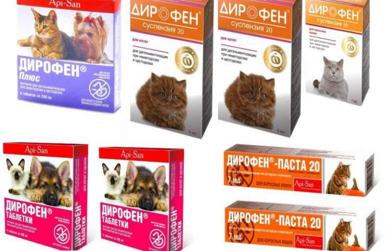 Дирофен (таблетки) для котят, кошек, щенков, собак | отзывы о применении препаратов для животных от ветеринаров и заводчиков
