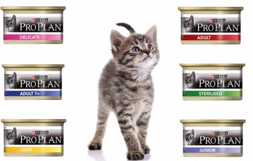 Какого класса корм для кошек «проплан», какова инструкция по применению лечебной линейки?