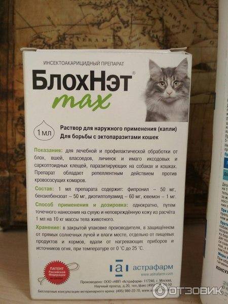 Капли от клещей для кошек: лекарства и препараты против паразитов, правила нанесения