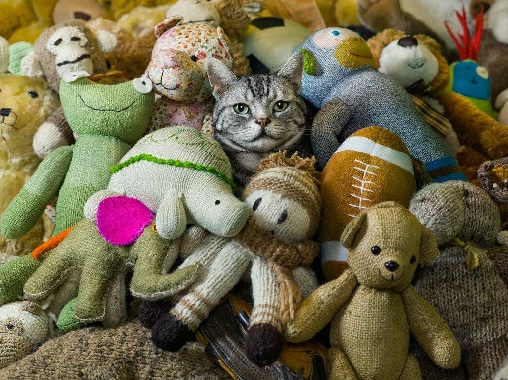 12 лучших игрушек для кошек