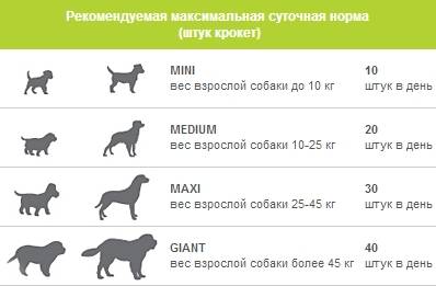 Щенки немецкой овчарки: фото по месяцам в 2, 1, 3, 4, таблица веса, также когда встают уши, как выбрать маленьких черных и других псов, до какого возраста растут?