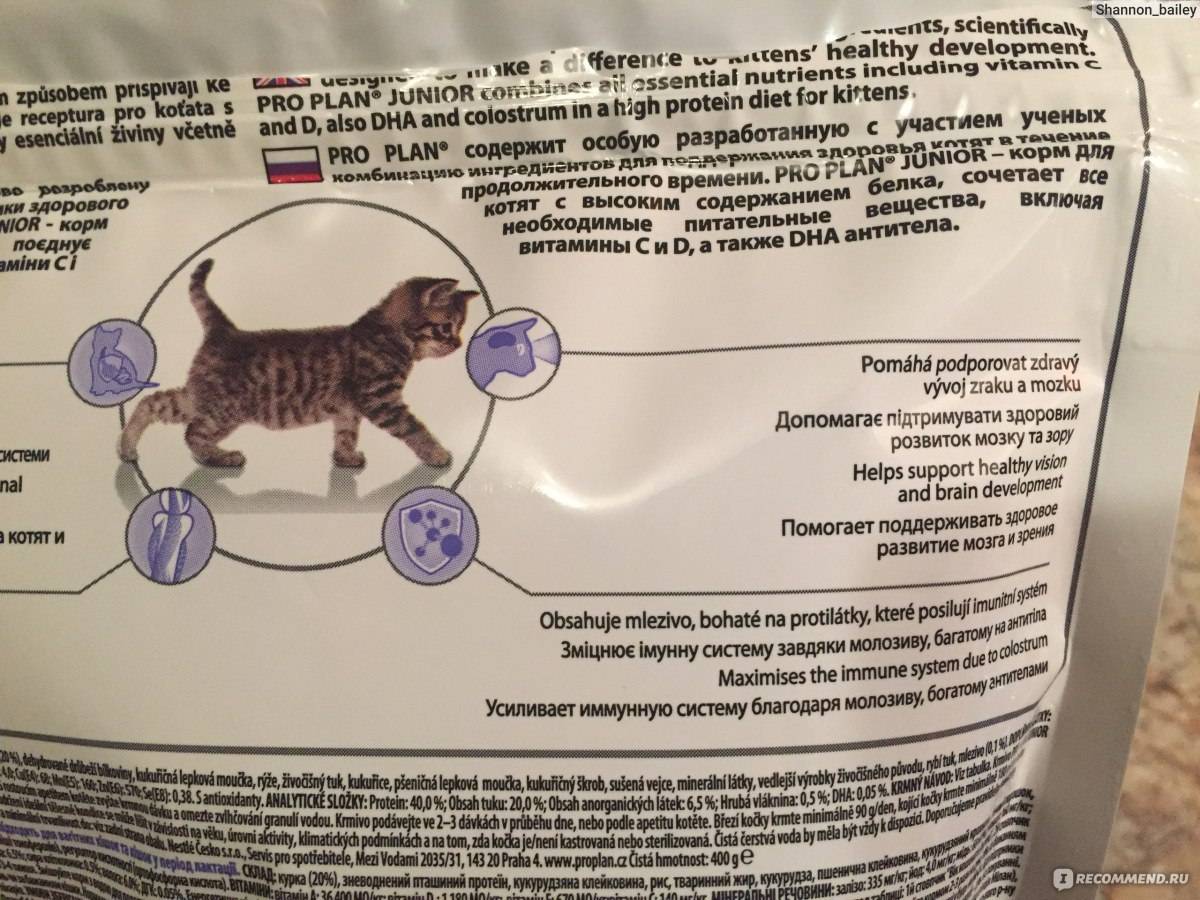 Характеристика кормов для кошки от фирмы бруксфилд (brooksfield)