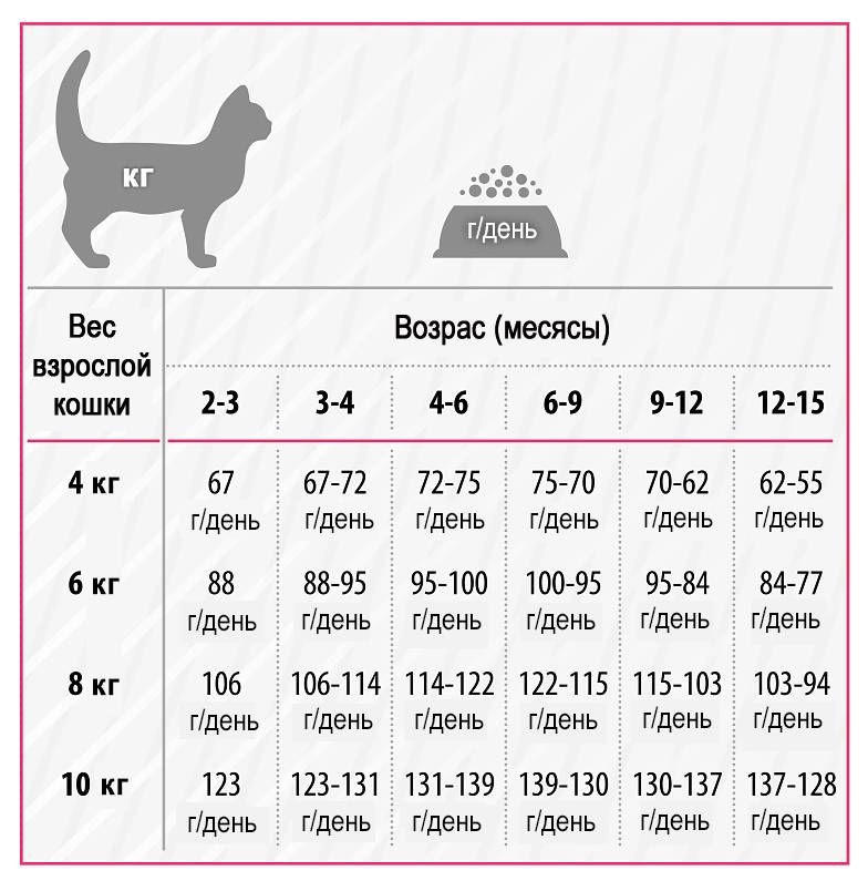 Сколько корма в день. Нормы кормления кошек сухим кормом таблица. Норма кормления кота сухим кормом. Норма сухого корма для котят 5 месяцев. Норма сухого корма для котят 5 мес.