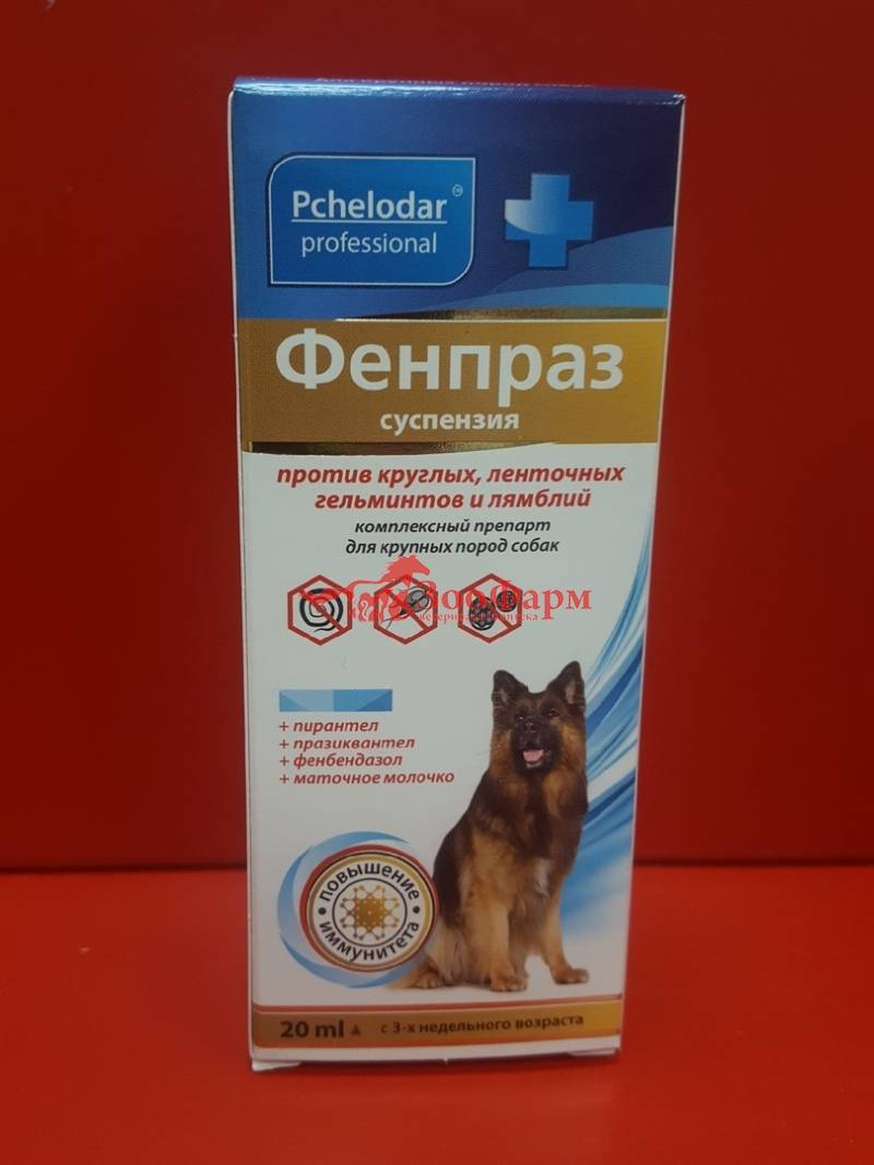 Фенпраз для собак: показания и инструкция по применению, отзывы, цена