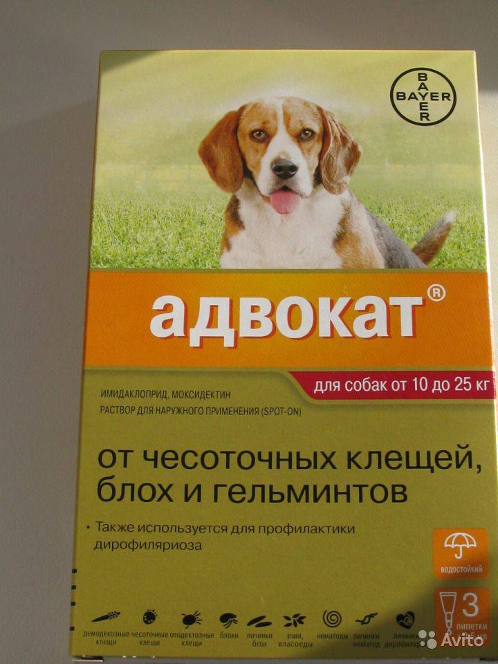 Адвокат 25-40 капли для собак - купить, цена и аналоги, инструкция по применению, отзывы в интернет ветаптеке добропесик