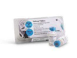 Нобивак рабиес / nobivac rabies (вакцина) для кошек и собак | отзывы о применении препаратов для животных от ветеринаров и заводчиков