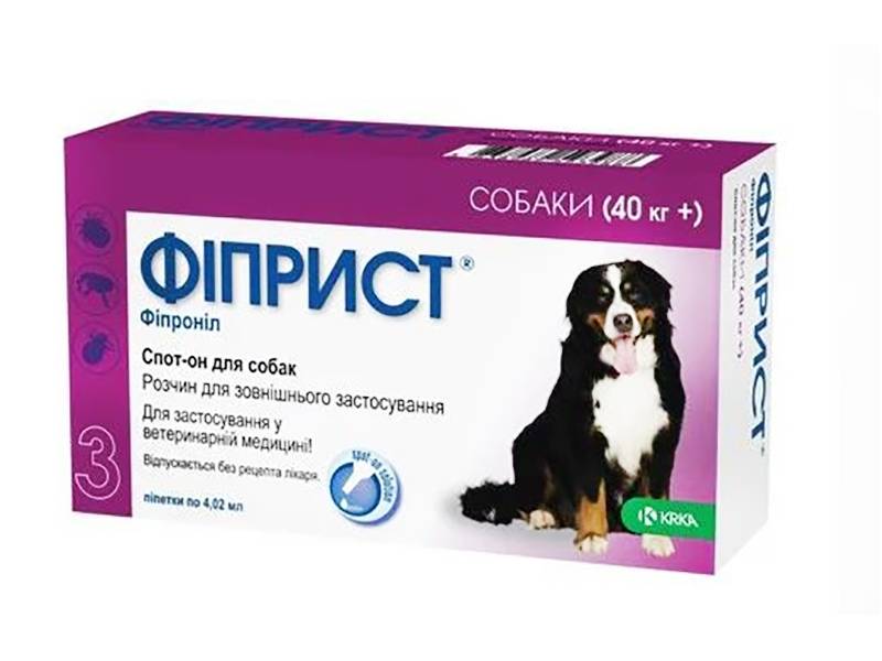 Как давать собаке лекарства в различных формах выпуска | блог ветклиники "беланта"