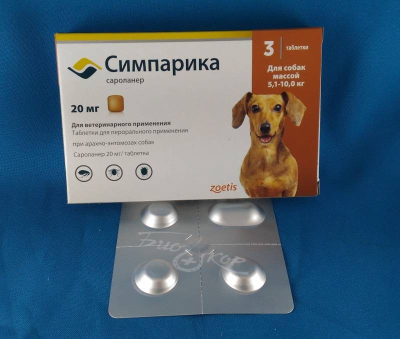Регенеративный препарат для собак ultracell-dog