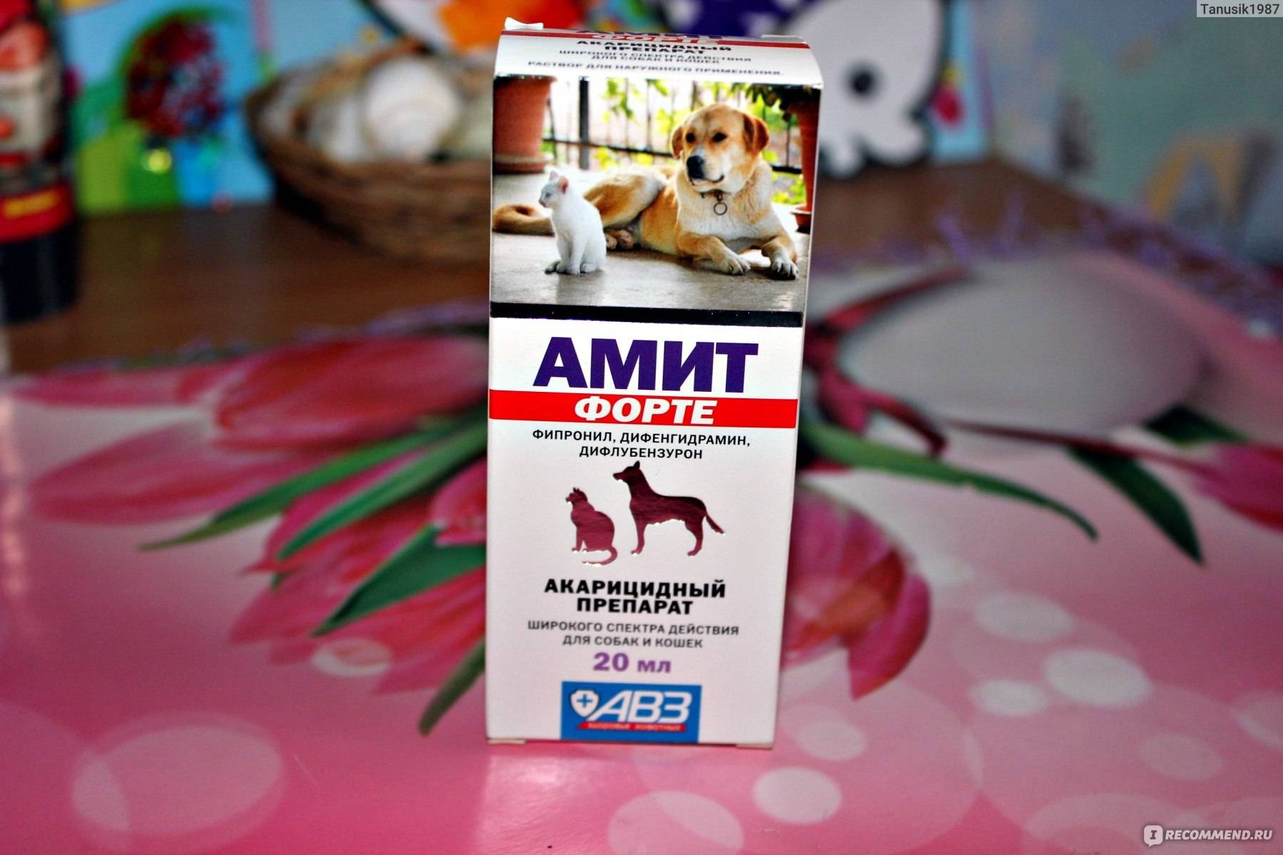 Ветеринарный препарат Амитразин: когда и как его применять