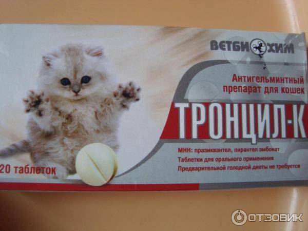 Глистогонные препараты для кошек:  какие лучше, таблетки или капли