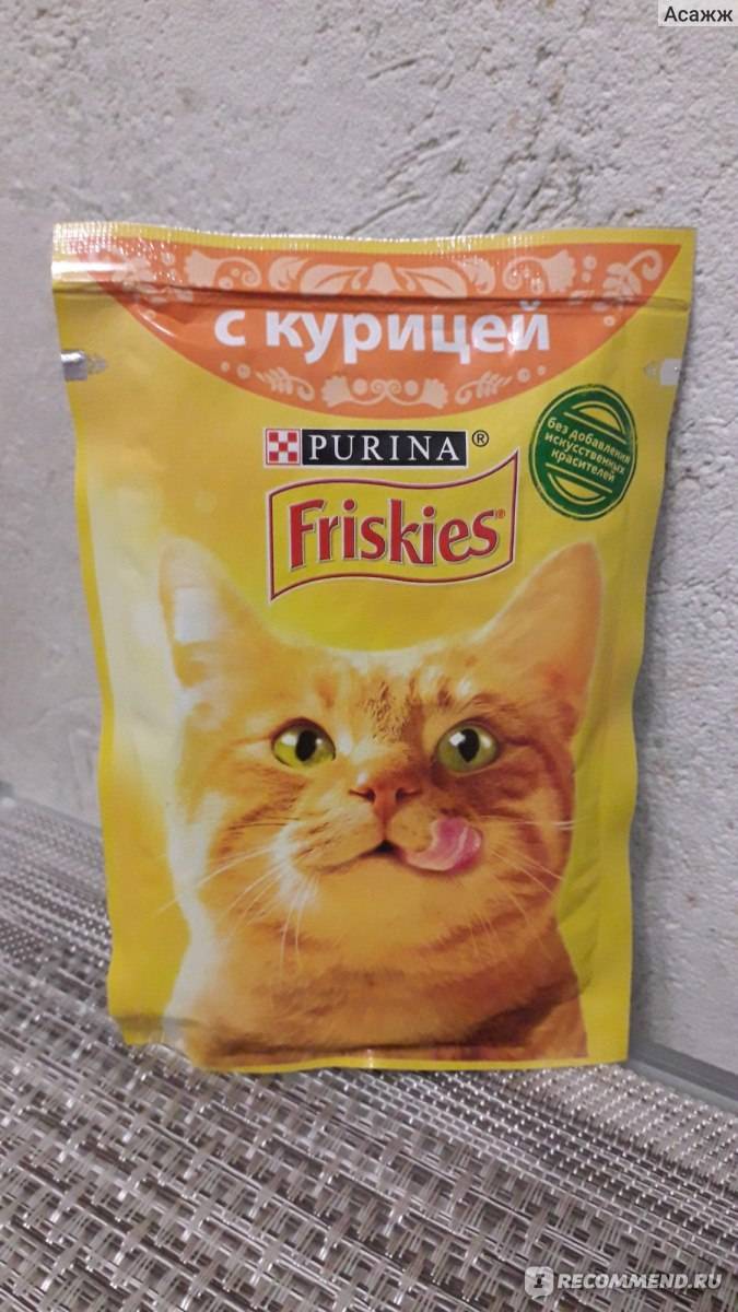 Состав корма для кошек «фрискис», особенности продуктов для котят, взрослых и стерилизованных питомцев