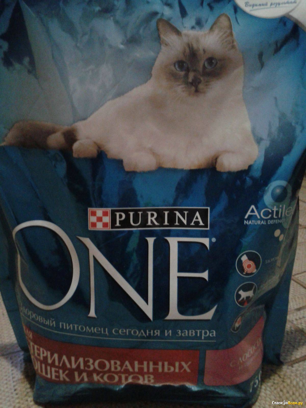 Корм пурина ван (purina one) для кошек — обзор и отзывы