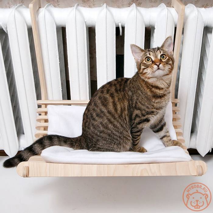 Лежанки для кошек (51 фото): лежак для кота на батарею, подоконник или пол из джинсов, трикотажной пряжи и других материалов