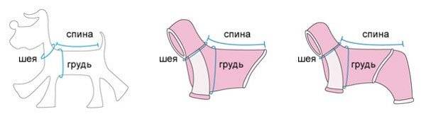 Размеры одежды для собак с учетом породы животного, выбор обуви