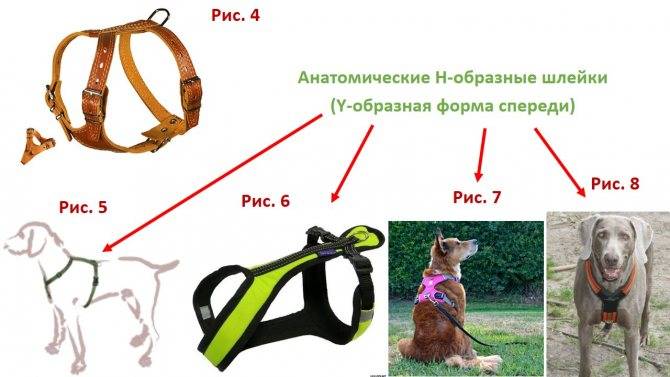 Лежанка для собаки (33 фото): размеры для собак крупных, средних и мелких пород. чем лучше домика? выбираем пластиковый и деревянный лежак